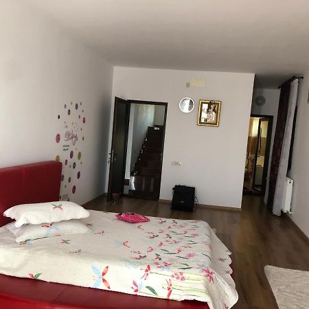 Adelina Apartment Schitu Bagian luar foto