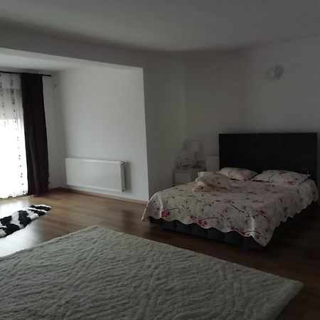 Adelina Apartment Schitu Bagian luar foto