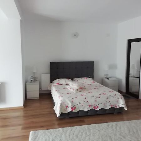 Adelina Apartment Schitu Bagian luar foto