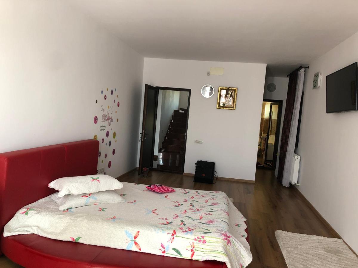 Adelina Apartment Schitu Bagian luar foto
