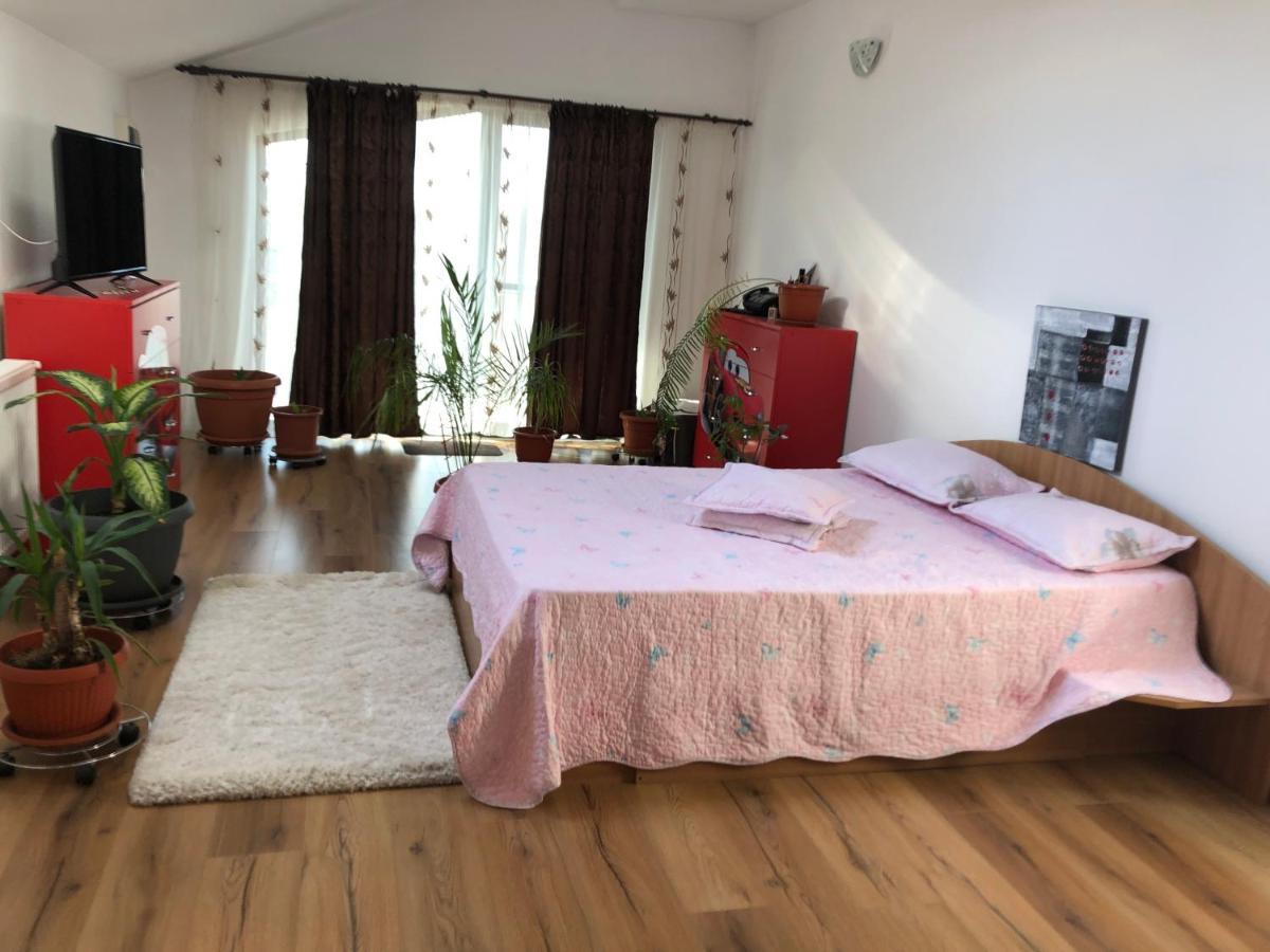 Adelina Apartment Schitu Bagian luar foto